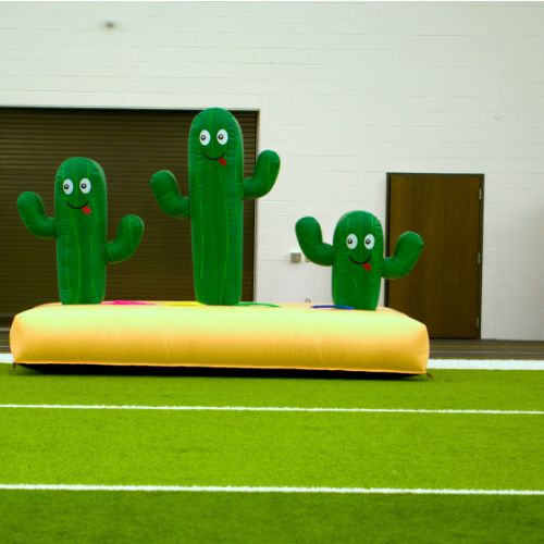 nflatable cactus ring toss game rental in Grand Rapids.